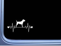 Cane Corso Lifeline Uncropped M294 8 inch dog Sticker decal