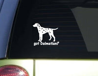 got Dalmatian *I751* 6 inch Sticker dog Decal  ˜