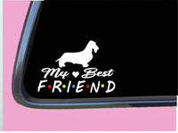 Dachshund Wirehair Sticker TP 821 Best Friend 6" Decal dog