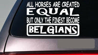 Belgians all horses equal 6" sticker *E580* show draft horse wagon harness