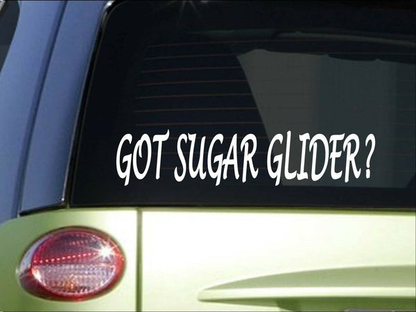 Got sugar glider *H977* 8" Sticker decal cage food house flying squirrel