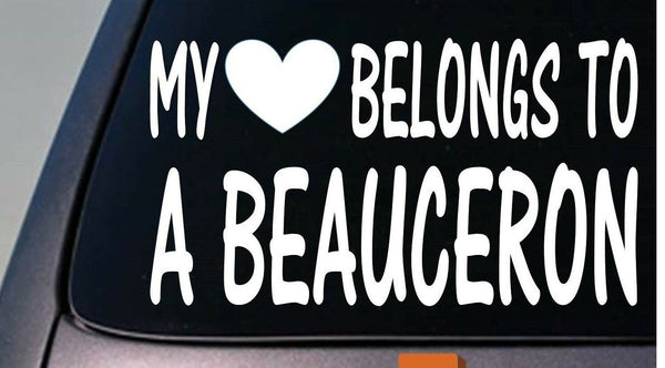 My heart belongs to a beauceron sticker decal *D901*