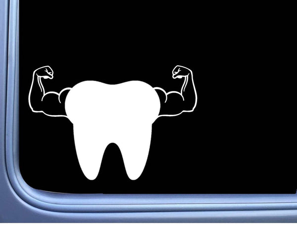 Tooth Arm Bicep M181 6 inch Window Decal dentist hygienist