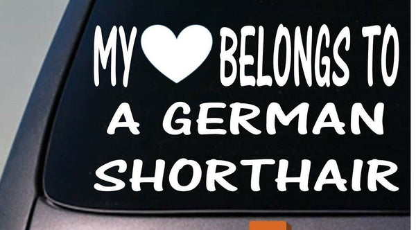 My heart belongs to a German Shorthair Pointer sticker decal *D982*