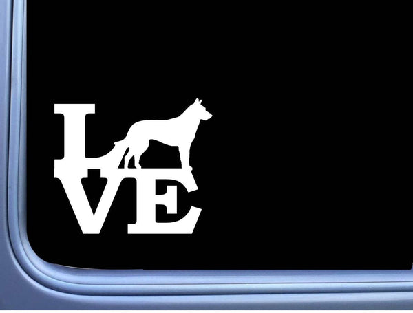 Dutch Shepherd Love M319 6 inch Sticker Decal schutzhund dog k9 dutchie