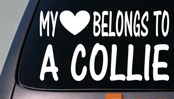 My heart belongs to a Collie sticker decal *D974*