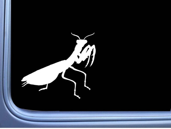 Praying Mantis L461 6" Sticker decal insect