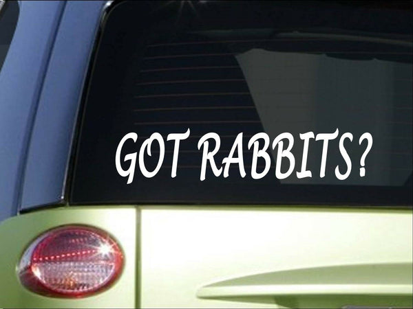 Got rabbits *H978* 8" Sticker decal cage food house pen cedar chips beagle vest