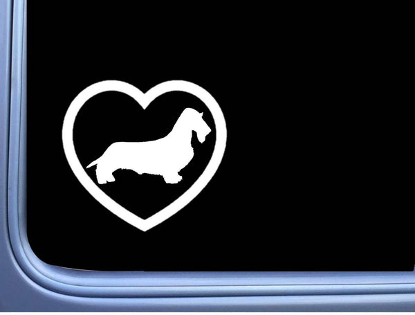 Wirehaired Dachshund Big Heart J817 6 inch Sticker dachshund dog decal