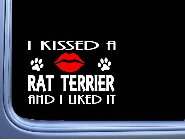 Rat Terrier kissed L874 8" dog window decal sticker