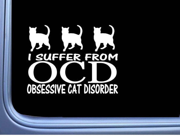OCD Cat Disorder M264 6 inch Sticker crazy lady kitten litter box Decal