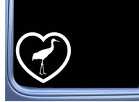 Sandhill Crane Big heart L968 6" Sticker decal bird watcher heron farm pond