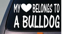 My heart belongs to a Bulldog sticker decal *D964*