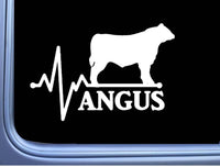 Angus Lifeline Word Bull Decal 6" Sticker OS 273 cattle cow aberdeen beef