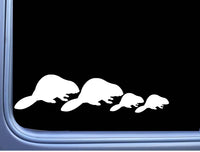 Beaver Family 8" Decal OS 092 sticker