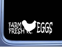 Farm Fresh Eggs Sticker 8" Decal OS 316 vinyl sign chicken egg