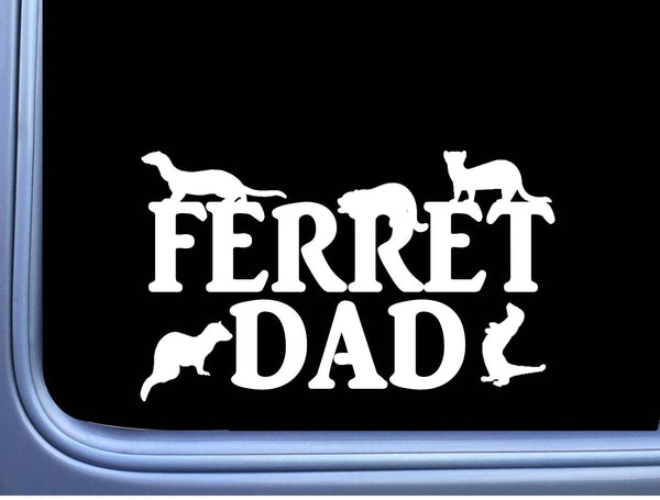 Ferret Dad Sticker OS 121 8" Ferrets Decal hammock cage litter