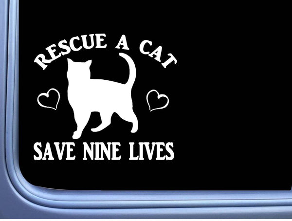Cat Rescue Decal OS 306 6" Sticker kitten nine lives