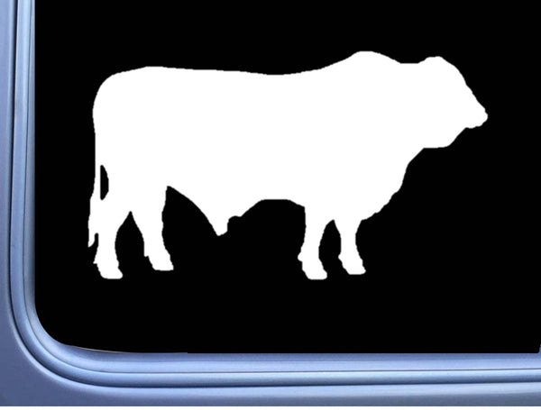 Santa Gertrudis Bull Decal 6" Sticker OS 247 cattle cow