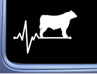 Angus Lifeline Bull Decal 6" Sticker OS 272 cattle cow aberdeen beef