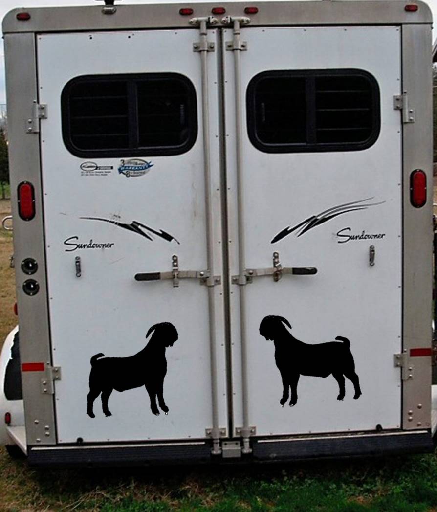 Boer Goat Vinyl Decal – 12 Inch