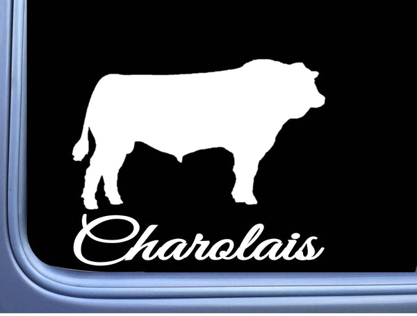 Charolais Bull Decal 6" Sticker OS 281 cattle cow beef