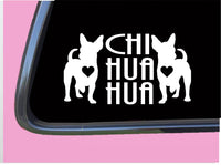 Chihuahua Chi Hua Hua TP 1388 vinyl 8" Decal Sticker dog window vinyl car