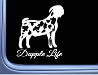 Dapple Boer Goat Life Sticker OS 177 6" window decal
