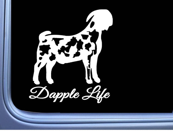 Dapple Boer Goat Life Sticker OS 177 6" window decal