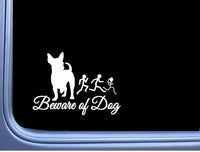 Chihuahua 8" Decal Beware OS 036 Sticker dog