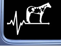 Paint Horse Lifeline Sticker OS 116 8" horse Decal appaloosa