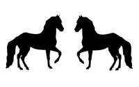 Paso Fino Horse Decals 12" Stickers OS 082 (2 decal set)